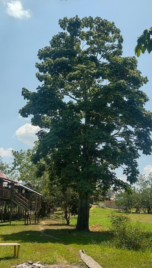 Casa Kukama Lodge Икитос Екстериор снимка